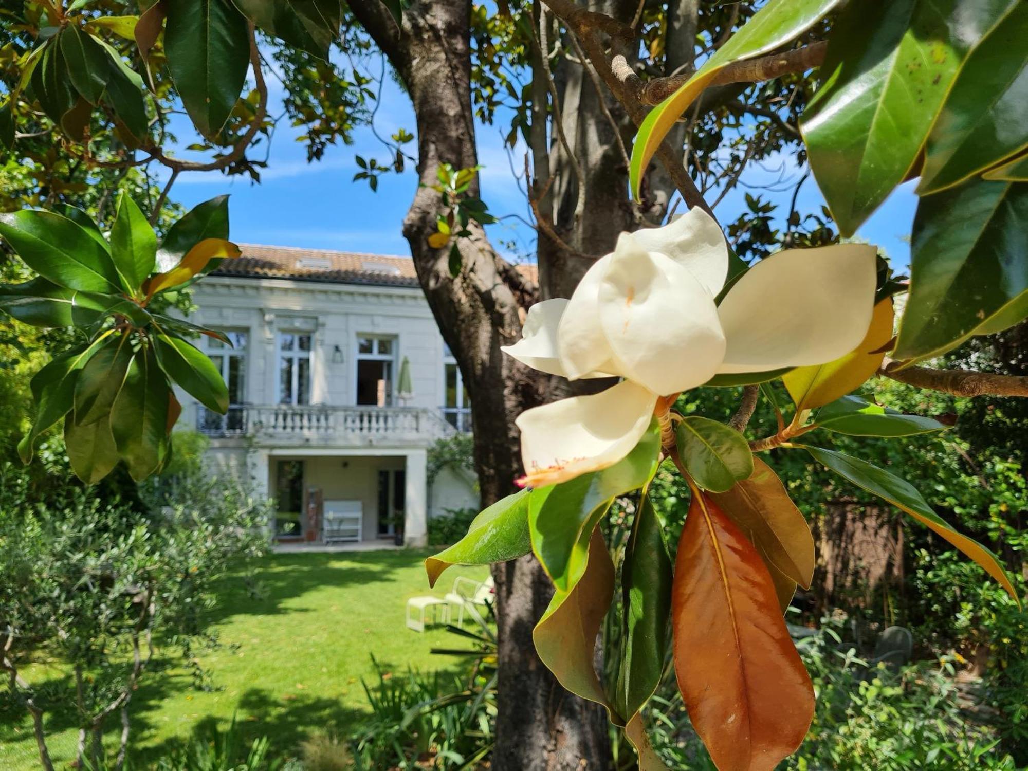 Villa Aigarden Maison D'Hotes Avignon Buitenkant foto