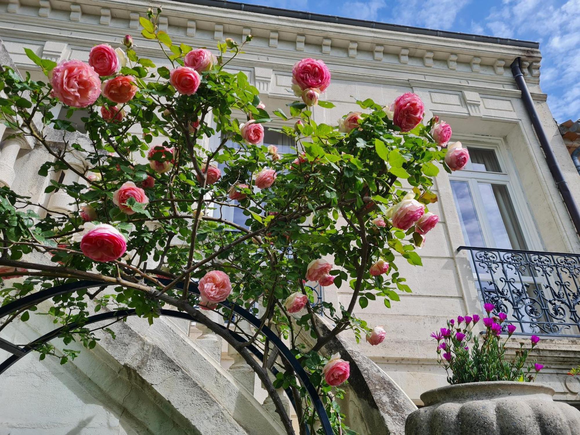 Villa Aigarden Maison D'Hotes Avignon Buitenkant foto