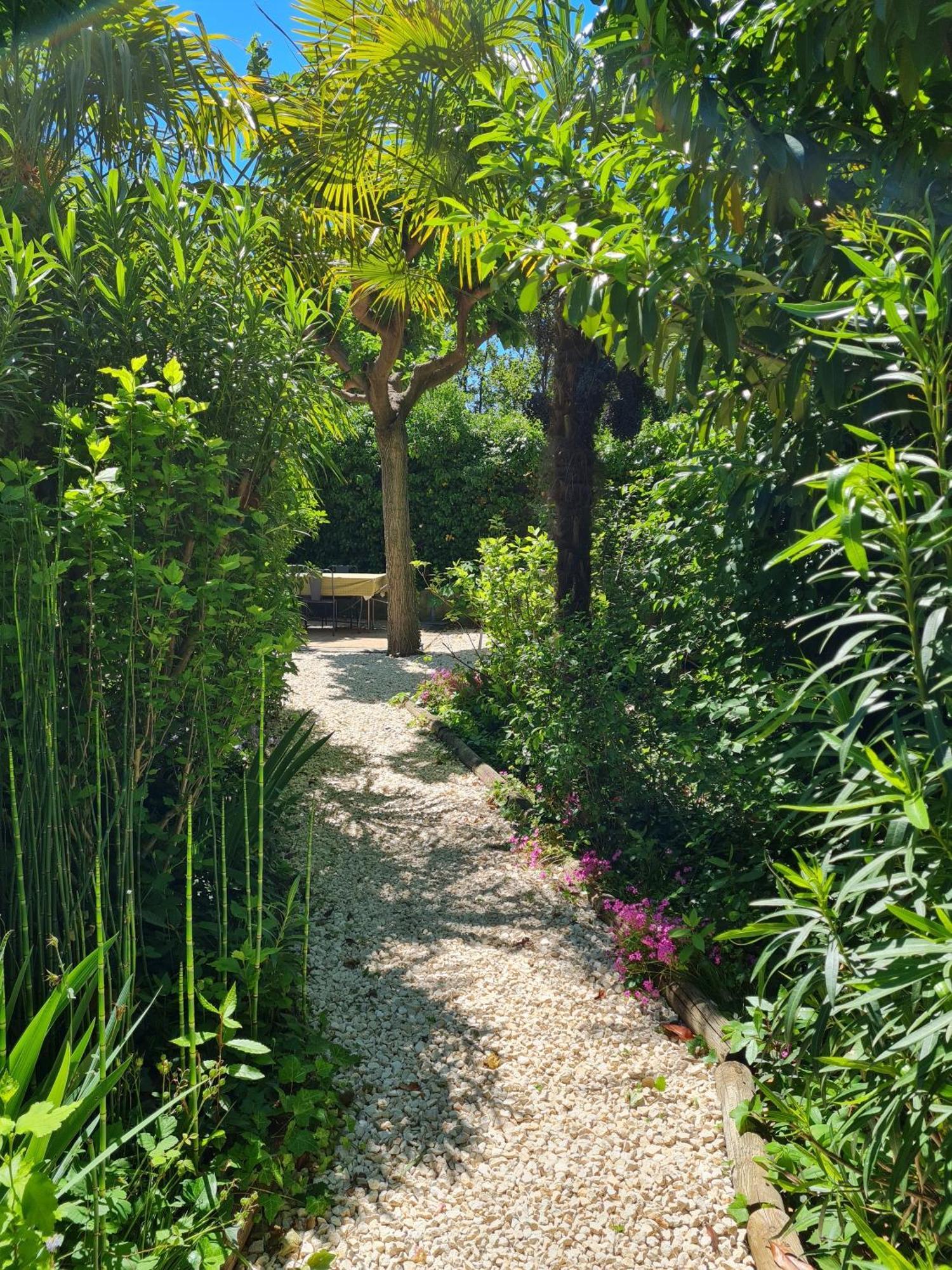 Villa Aigarden Maison D'Hotes Avignon Buitenkant foto